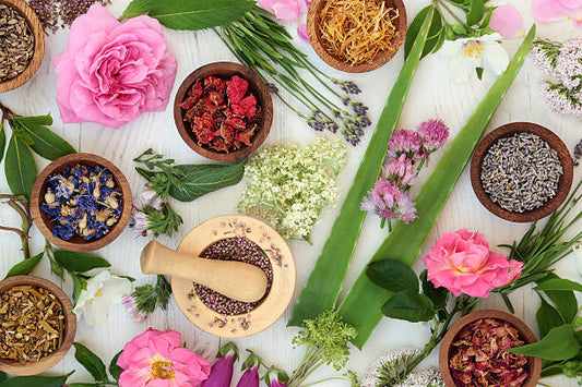 The Power of Natural Ingredients
